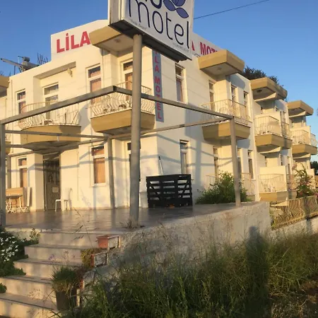 Lila *